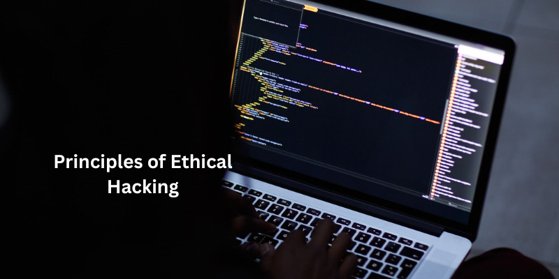 What Are the Key Principles of Ethical Hacking?